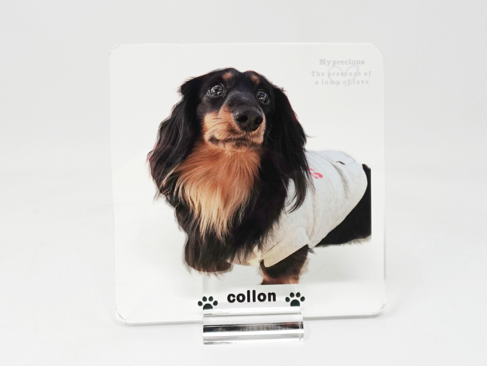 デコラのイメージ写真2