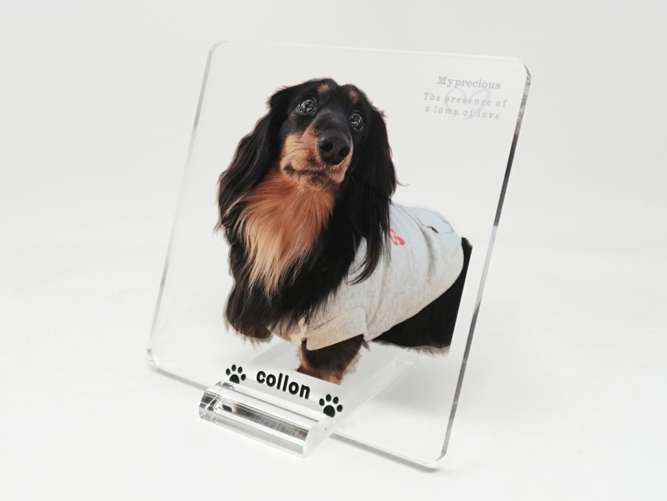 デコラのイメージ写真3